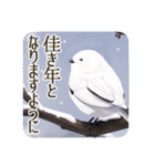 季語のある丁寧な挨拶（12～2月）（個別スタンプ：36）