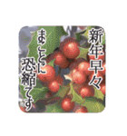 季語のある丁寧な挨拶（12～2月）（個別スタンプ：38）