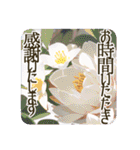 季語のある丁寧な挨拶（12～2月）（個別スタンプ：40）