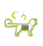 Dog Routine！ Sticker（個別スタンプ：12）