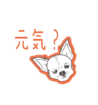 Dog Routine！ Sticker（個別スタンプ：28）