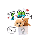 *Leo*（個別スタンプ：1）