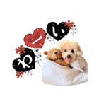 *Leo*（個別スタンプ：8）
