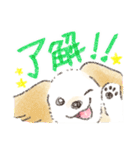 ハーフ犬マルックス ラテちゃんです！2（個別スタンプ：2）