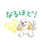 ハーフ犬マルックス ラテちゃんです！2（個別スタンプ：15）