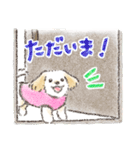 ハーフ犬マルックス ラテちゃんです！2（個別スタンプ：19）