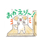 ハーフ犬マルックス ラテちゃんです！2（個別スタンプ：20）