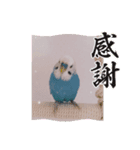 ぴーちゃん☆happy stamp 2024（個別スタンプ：7）