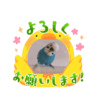 ぴーちゃん☆happy stamp 2024（個別スタンプ：8）