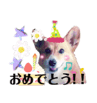 ぶにゃお猫ファミリー（個別スタンプ：4）