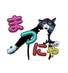 ぶにゃお猫ファミリー（個別スタンプ：5）