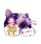 ぶにゃお猫ファミリー（個別スタンプ：6）