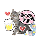 ぶにゃお猫ファミリー（個別スタンプ：9）