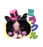 ぶにゃお猫ファミリー（個別スタンプ：19）