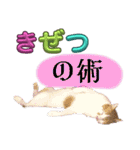 ぶにゃお猫ファミリー（個別スタンプ：20）
