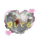 ぶにゃお猫ファミリー（個別スタンプ：30）