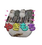 ぶにゃお猫ファミリー（個別スタンプ：32）