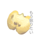 Smiling Paprika（個別スタンプ：23）