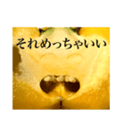 Smiling Paprika（個別スタンプ：26）