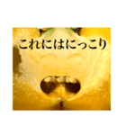 Smiling Paprika（個別スタンプ：27）