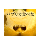 Smiling Paprika（個別スタンプ：28）
