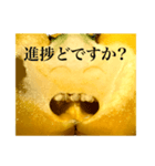 Smiling Paprika（個別スタンプ：29）