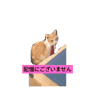 うちのチャオちゃん番外編（個別スタンプ：1）