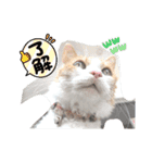 うちのチャオちゃん番外編（個別スタンプ：12）