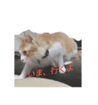 うちのチャオちゃん番外編（個別スタンプ：13）