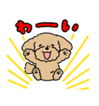 むぎくん(マルプーmix犬)【再修正版】（個別スタンプ：2）