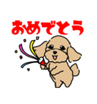 むぎくん(マルプーmix犬)【再修正版】（個別スタンプ：13）