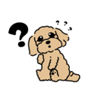 むぎくん(マルプーmix犬)【再修正版】（個別スタンプ：16）