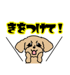 むぎくん(マルプーmix犬)【再修正版】（個別スタンプ：24）