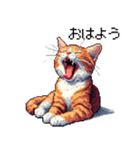 ドット絵 キジトラ 猫 日常会話 40種（個別スタンプ：1）