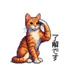 ドット絵 キジトラ 猫 日常会話 40種（個別スタンプ：6）