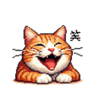 ドット絵 キジトラ 猫 日常会話 40種（個別スタンプ：8）