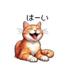 ドット絵 キジトラ 猫 日常会話 40種（個別スタンプ：11）