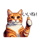 ドット絵 キジトラ 猫 日常会話 40種（個別スタンプ：12）