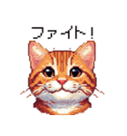 ドット絵 キジトラ 猫 日常会話 40種（個別スタンプ：15）