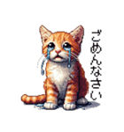 ドット絵 キジトラ 猫 日常会話 40種（個別スタンプ：16）