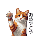 ドット絵 キジトラ 猫 日常会話 40種（個別スタンプ：17）