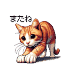 ドット絵 キジトラ 猫 日常会話 40種（個別スタンプ：21）