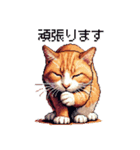 ドット絵 キジトラ 猫 日常会話 40種（個別スタンプ：23）