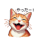 ドット絵 キジトラ 猫 日常会話 40種（個別スタンプ：25）