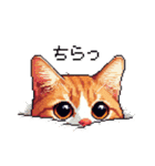 ドット絵 キジトラ 猫 日常会話 40種（個別スタンプ：29）