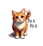 ドット絵 キジトラ 猫 日常会話 40種（個別スタンプ：30）