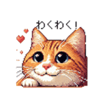 ドット絵 キジトラ 猫 日常会話 40種（個別スタンプ：31）