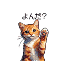 ドット絵 キジトラ 猫 日常会話 40種（個別スタンプ：33）