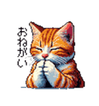 ドット絵 キジトラ 猫 日常会話 40種（個別スタンプ：34）