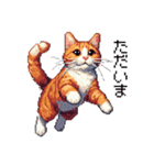 ドット絵 キジトラ 猫 日常会話 40種（個別スタンプ：36）